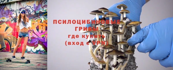 дживик Заволжск